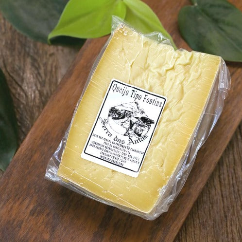 Queijo Fontina